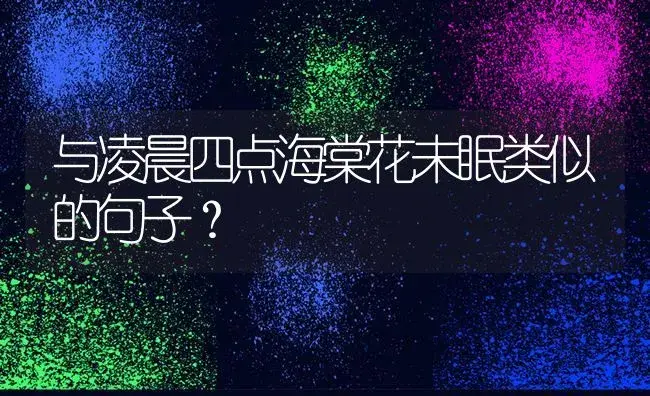 与凌晨四点海棠花未眠类似的句子？ | 绿植常识