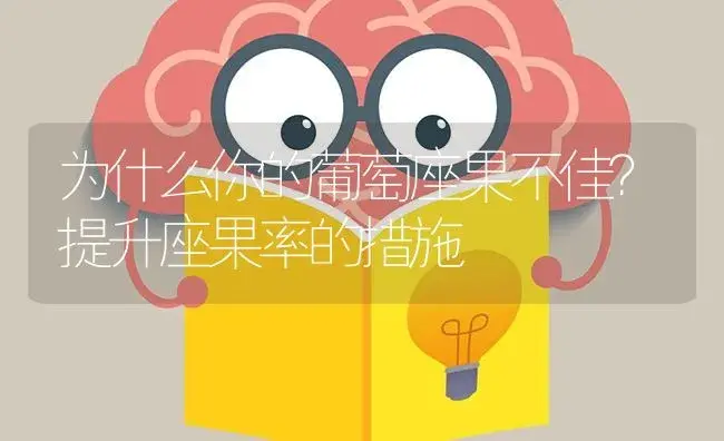 为什么你的葡萄座果不佳？提升座果率的措施 | 果木种植