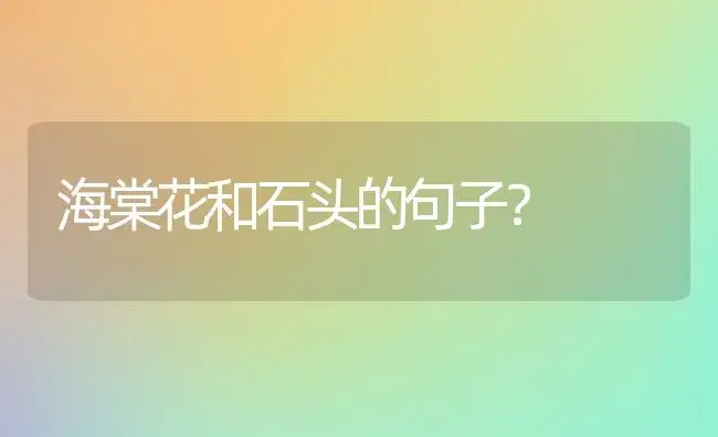 海棠花和石头的句子？ | 绿植常识