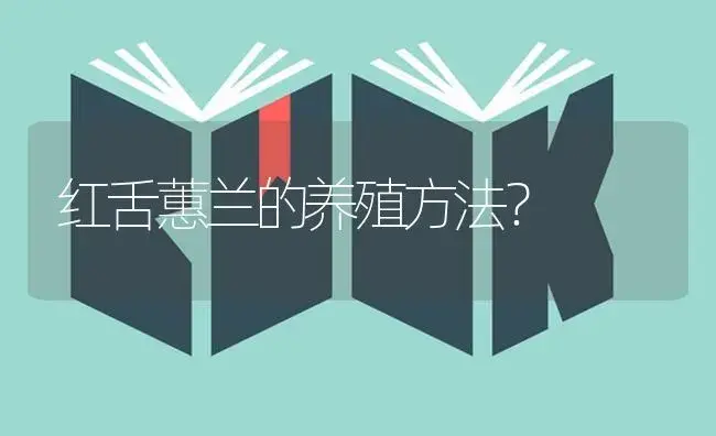 红舌蕙兰的养殖方法？ | 绿植常识