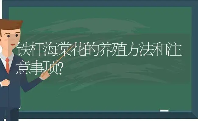 铁杆海棠花的养殖方法和注意事项？ | 绿植常识