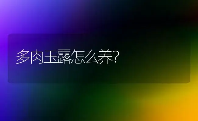 多肉玉露怎么养？ | 多肉养殖