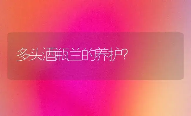 多头酒瓶兰的养护？ | 多肉养殖