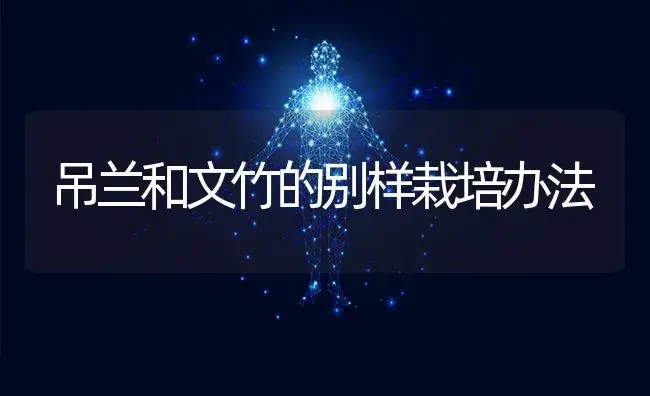 吊兰和文竹的别样栽培办法 | 特种种植