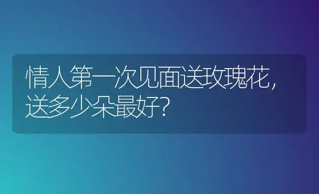 情人第一次见面送玫瑰花，送多少朵最好？ | 绿植常识