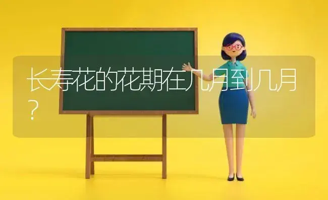 长寿花的花期在几月到几月？ | 多肉养殖