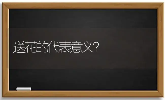 送花的代表意义？ | 绿植常识