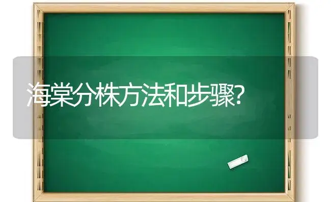 海棠分株方法和步骤？ | 绿植常识