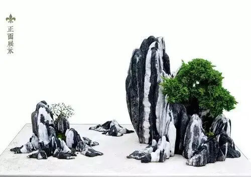 苏派盆景 | 文化中国·苏派盆景大师联合首拍作品