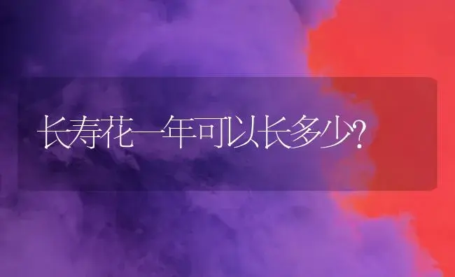 长寿花一年可以长多少？ | 多肉养殖