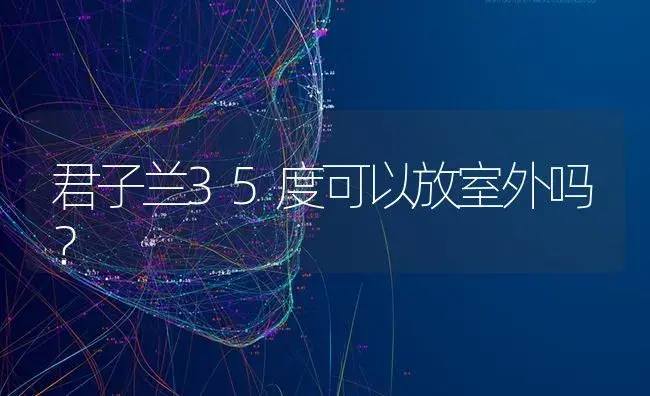 君子兰35度可以放室外吗？ | 绿植常识