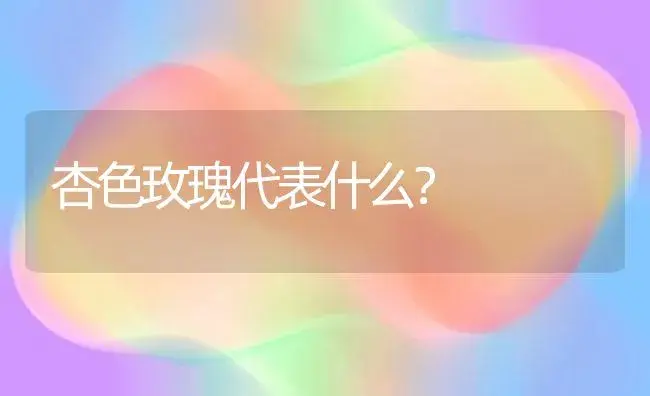 杏色玫瑰代表什么？ | 绿植常识