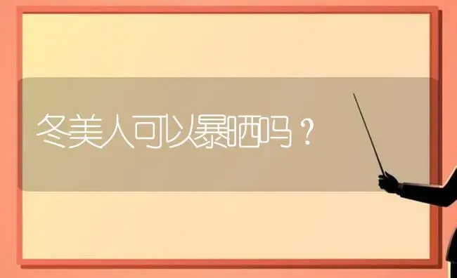 冬美人可以暴晒吗？ | 多肉养殖