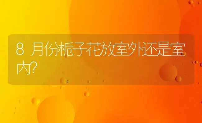 8月份栀子花放室外还是室内？ | 绿植常识