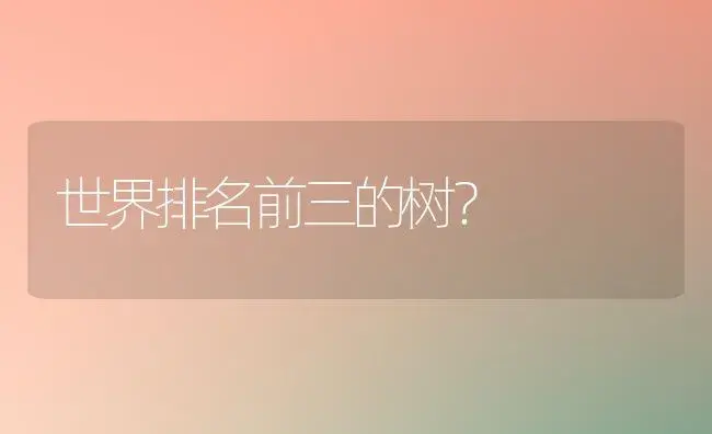 世界排名前三的树？ | 多肉养殖