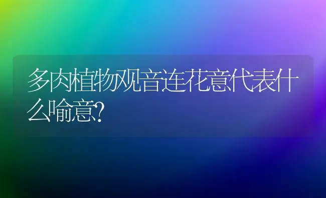 多肉植物观音连花意代表什么喻意？ | 多肉养殖