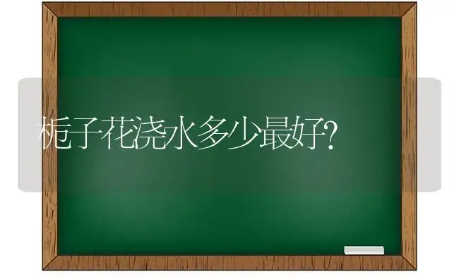 百合的叶子有什么用途？ | 绿植常识