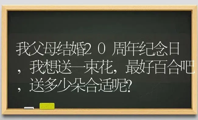 我父母结婚20周年纪念日，我想送一束花，最好百合吧，送多少朵合适呢？ | 绿植常识