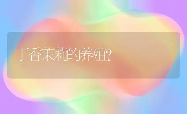 君子兰的种子多久成熟？ | 绿植常识