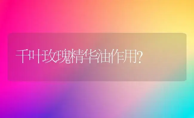 七星海棠花可以放卧室吗？ | 绿植常识