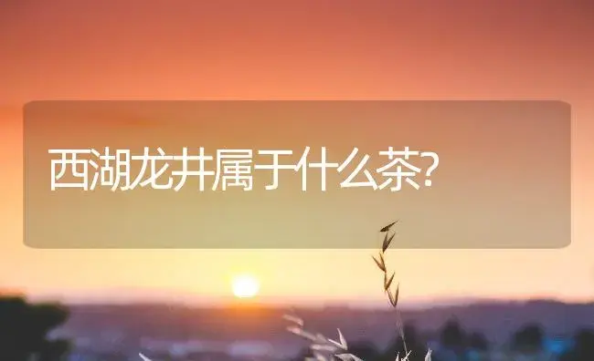 西湖龙井属于什么茶？ | 农作物种植