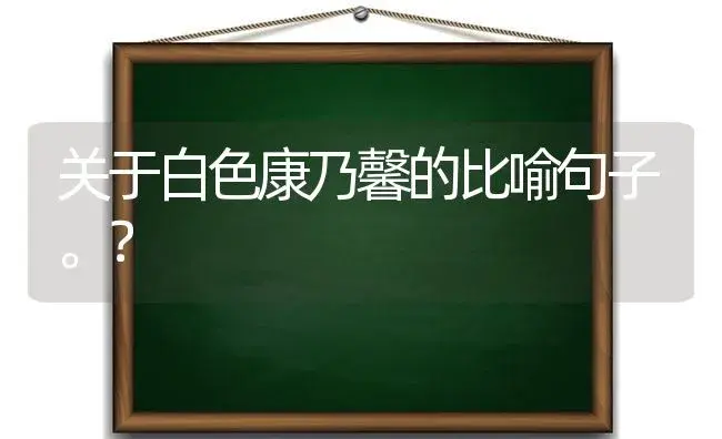 关于白色康乃馨的比喻句子。？ | 绿植常识