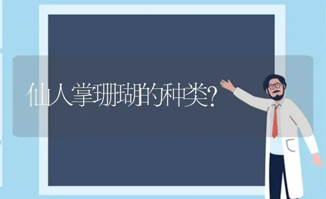 仙人掌珊瑚的种类？ | 多肉养殖