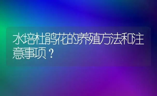 水培杜鹃花的养殖方法和注意事项？ | 绿植常识