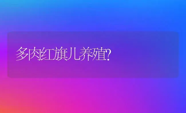 多肉红旗儿养殖？ | 多肉养殖