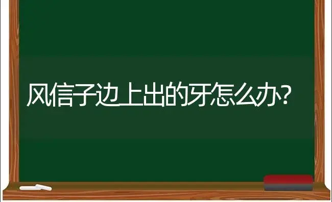 风信子边上出的牙怎么办？ | 绿植常识