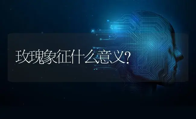 玫瑰象征什么意义？ | 绿植常识