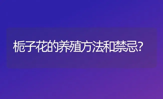 栀子花的养殖方法和禁忌？ | 绿植常识