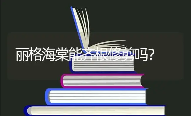 丽格海棠能齐根修剪吗？ | 绿植常识