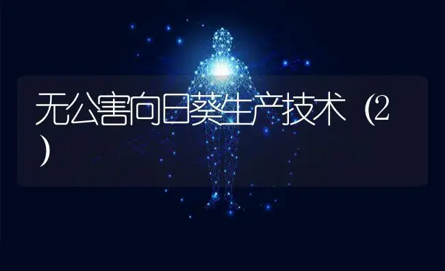 无公害向日葵生产技术（2） | 特种种植