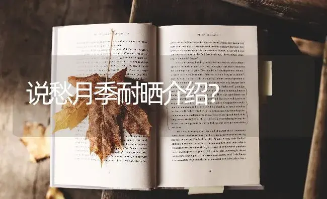 说愁月季耐晒介绍？ | 绿植常识