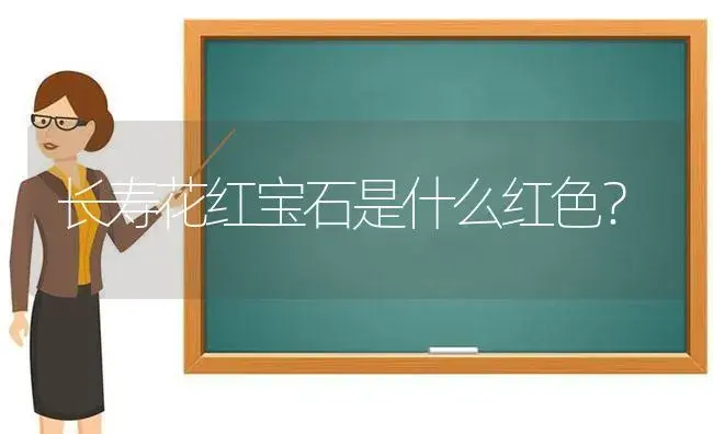 长寿花红宝石是什么红色？ | 多肉养殖