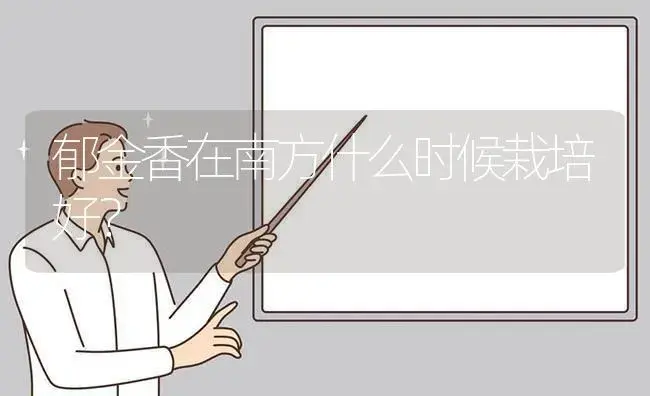 郁金香在南方什么时候栽培好？ | 绿植常识