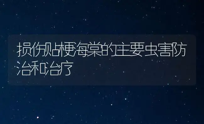 损伤贴梗海棠的主要虫害防治和治疗 | 家庭养花