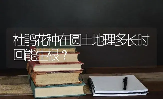 杜鹃花种在圆土地理多长时回能生根？ | 绿植常识