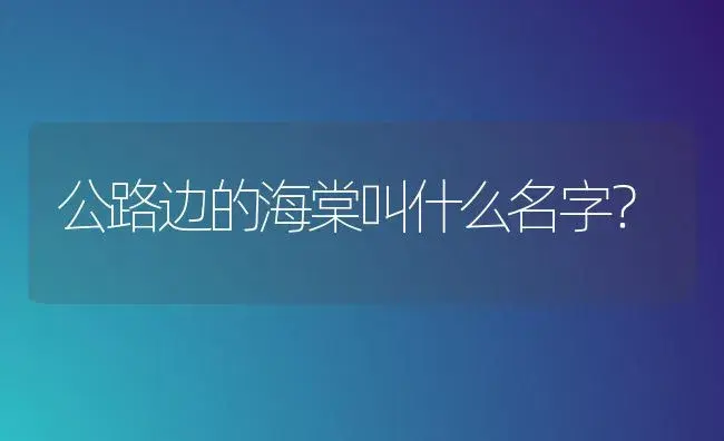 公路边的海棠叫什么名字？ | 绿植常识