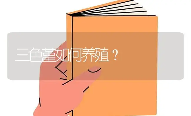 三色堇如何养殖？ | 特种种植