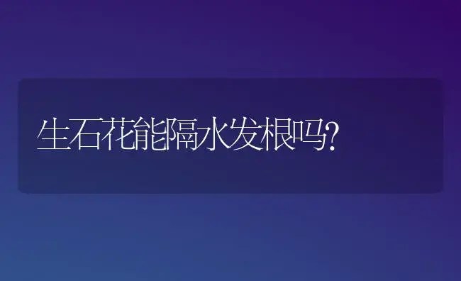 生石花能隔水发根吗？ | 多肉养殖