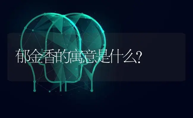 郁金香的寓意是什么？ | 绿植常识