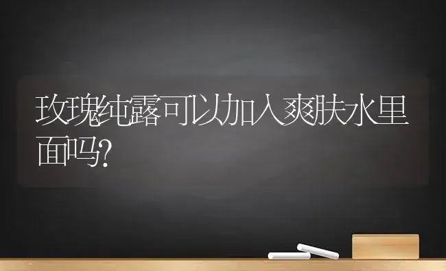 玫瑰纯露可以加入爽肤水里面吗？ | 绿植常识