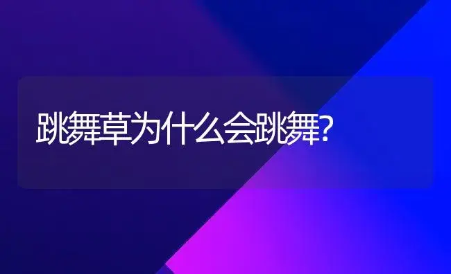 跳舞草为什么会跳舞？ | 家庭养花