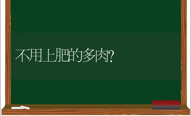 不用上肥的多肉？ | 多肉养殖