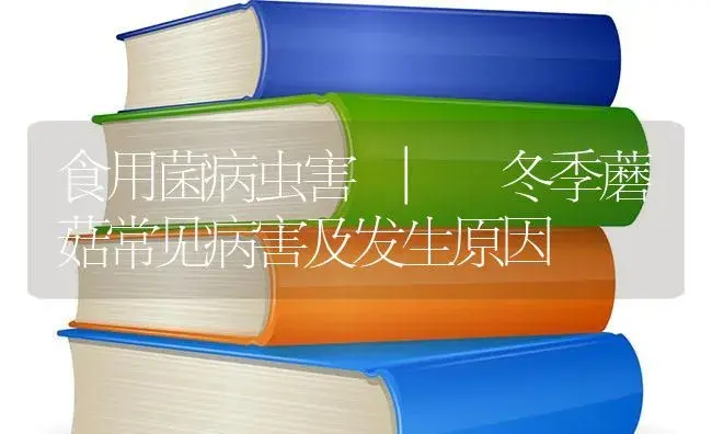 冬季蘑菇常见病害及发生原因 | 菌菇种植