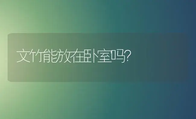 文竹能放在卧室吗？ | 家庭养花