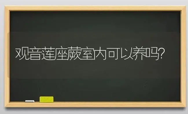 观音莲座蕨室内可以养吗？ | 多肉养殖