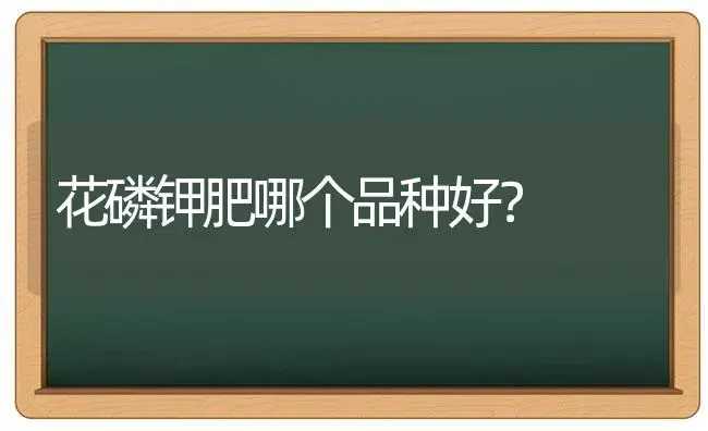 花磷钾肥哪个品种好？ | 多肉养殖